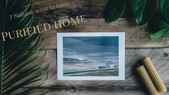 7 Natural Ways to Keep a Purified Home!!