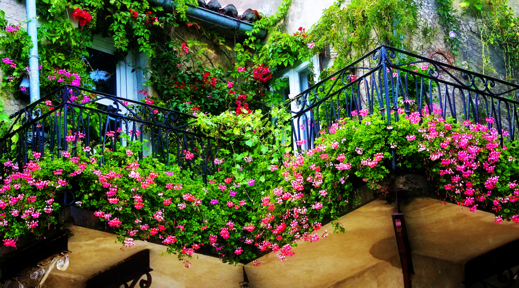 How To: Growing Your Balcony Garden